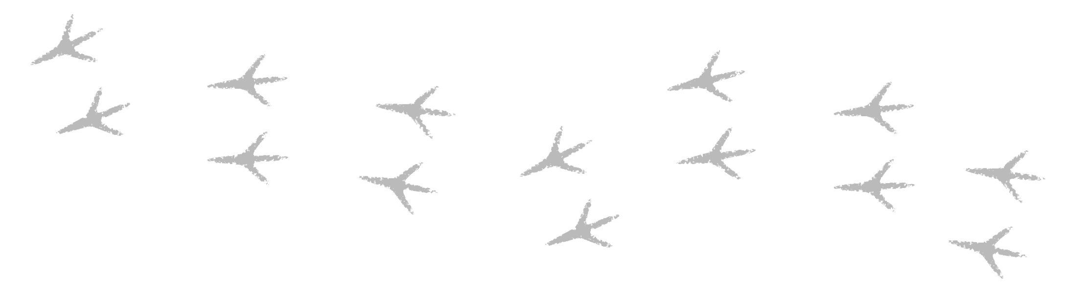 pattes de poulet